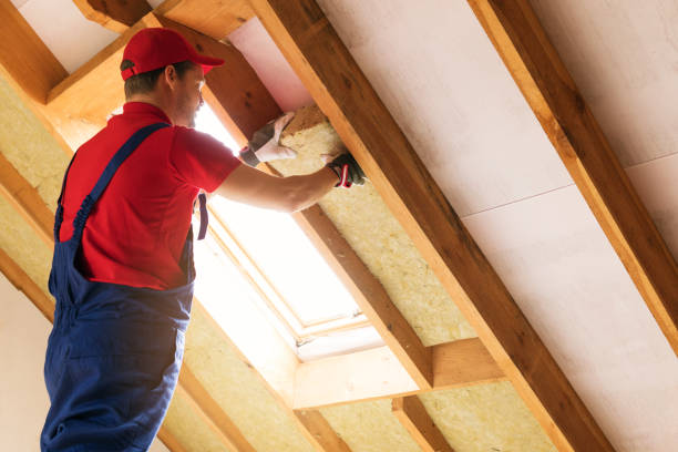 Types of Insulation We Offer in Paw Paw, MI